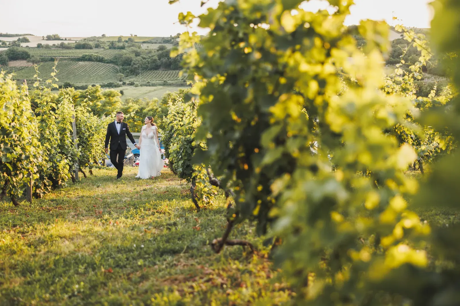 Jeunes mariés marchant main dans la main dans les vignes d'un domaine viticole près de Bordeaux